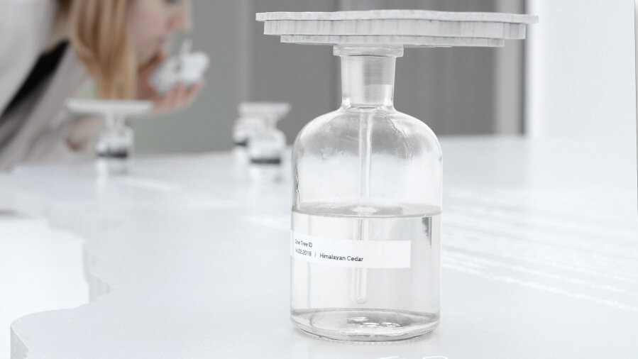 One Tree ID – Himalajski cedar, instalacija, Kunsthalle Rostock, 2019.
© Agnes Meyer-Brandis