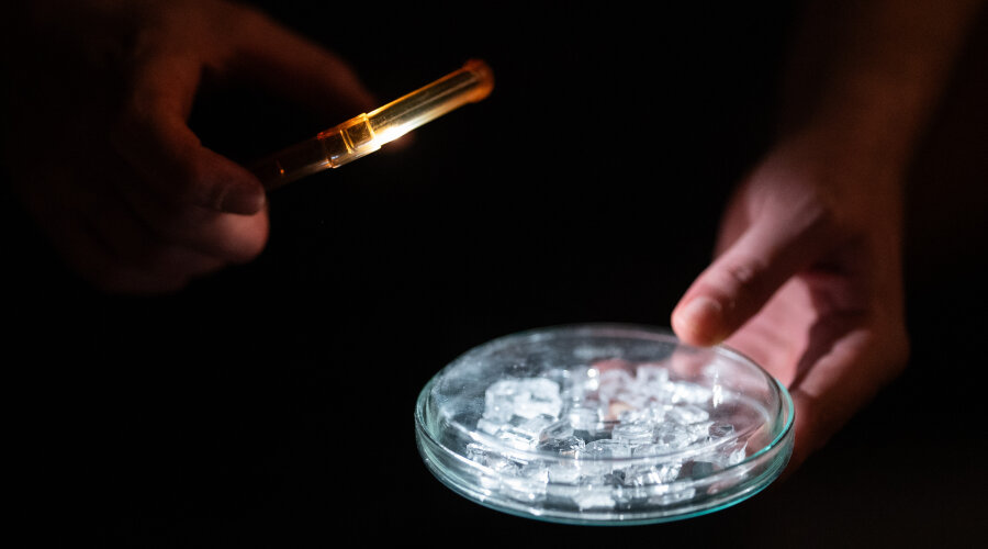 Fotografija: Zoe Šarlija