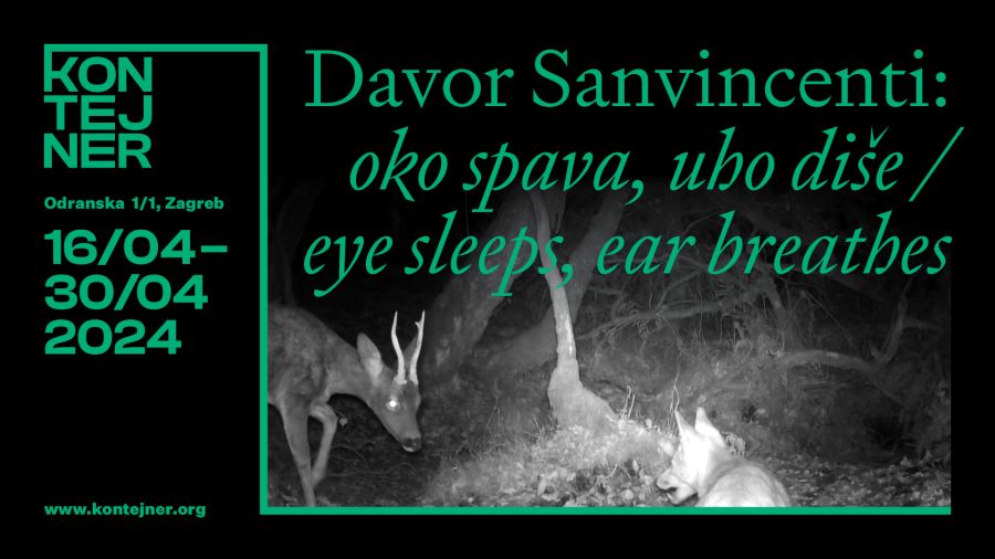 Dizajn: kuna zlatica