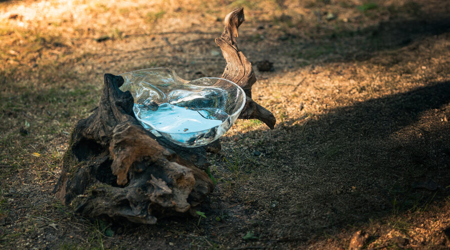 Photography: Haena Yoo 